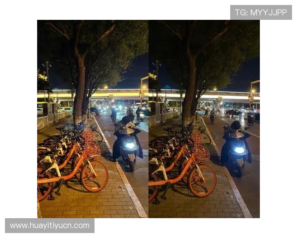 乐动全体育苹果应用界面设计与操作体验评测，提升你的使用舒适度