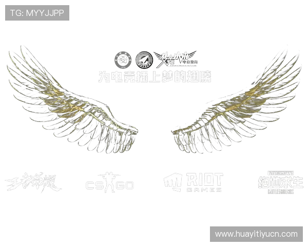 乐竞电竞体育官网安全支付与个人信息保护措施，保障用户权益与隐私