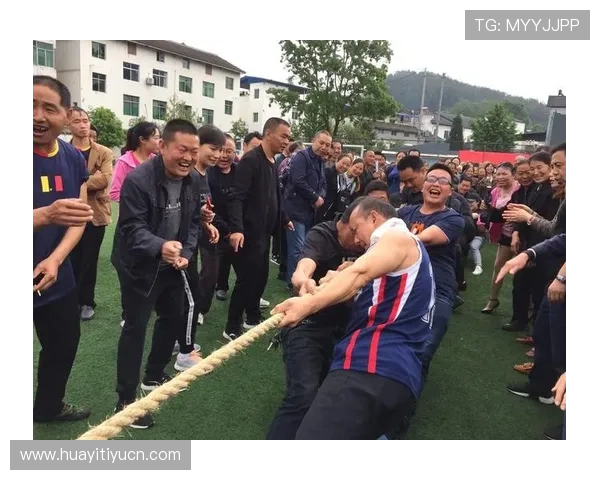 力美体育器材全面升级，助力运动爱好者实现专业训练目标